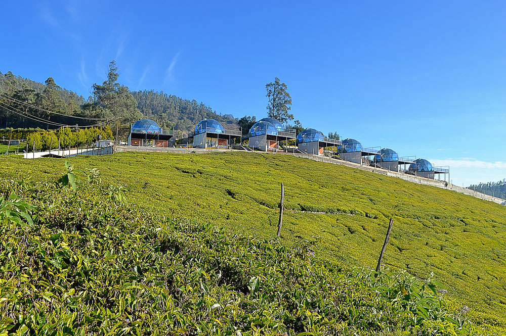 Your Hilltop Escape